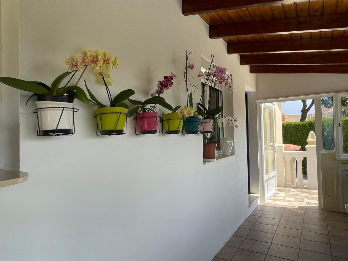 Casa A Dos Minutos Caminando Del Mar Βίλα Denia Εξωτερικό φωτογραφία